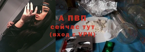 винт Аркадак