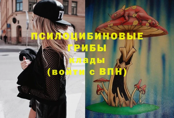 2c-b Армянск